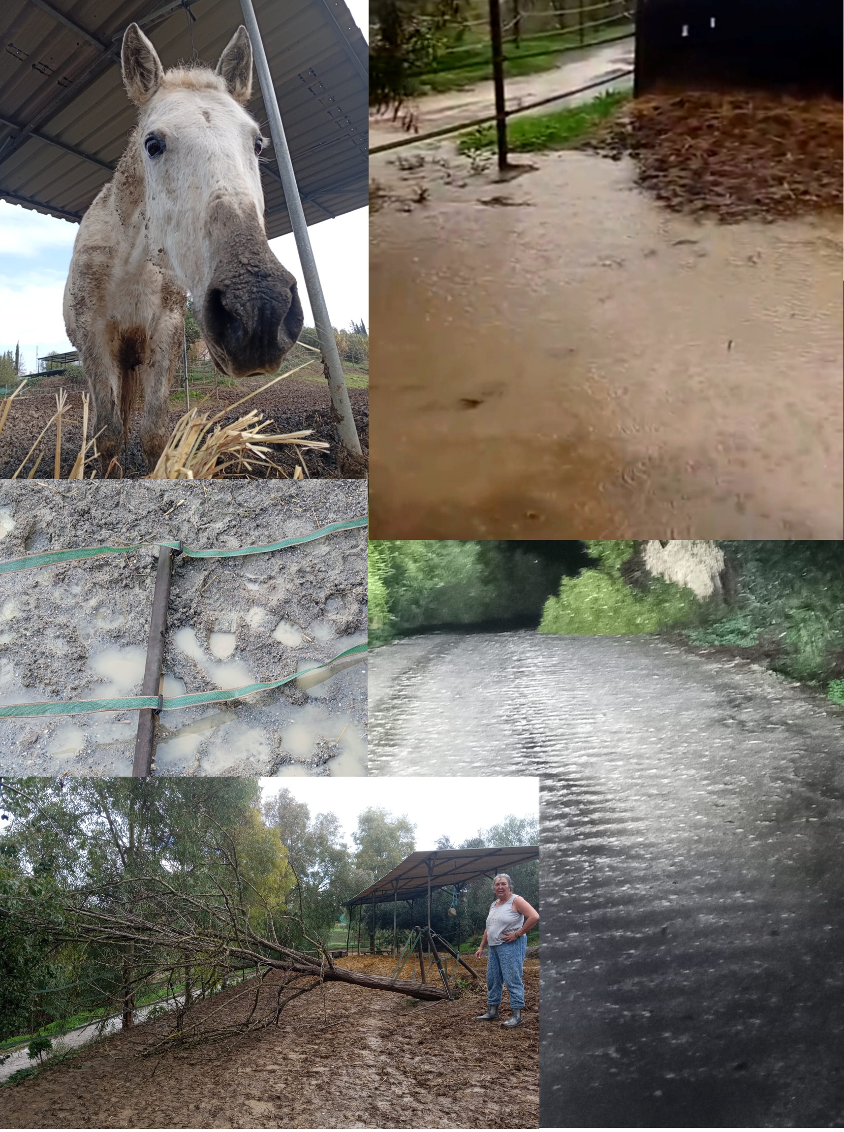 numerosos destrozos por el agua torrencial en el refugio, Enero 2026
